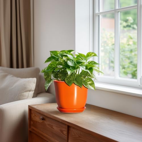 5.6 Inch Plant Pot - Ceramic Pots for Plants Indoor Outdoor, Succulent Pot with Drainage Hole and Saucer, Round Modern Flower Pots, Garden Home Room Decor, Gifts for Plant Lovers, Orange - Image 5