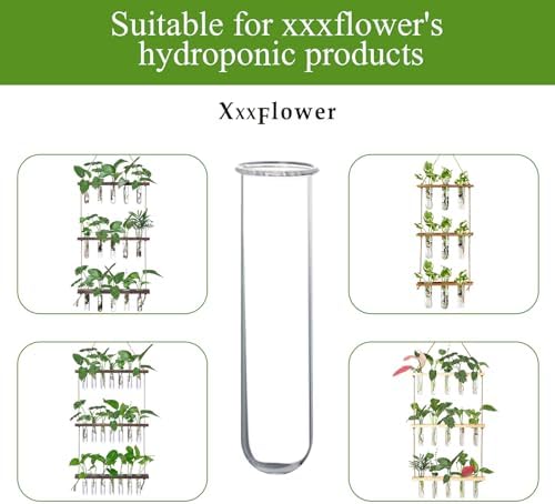 XXXFLOWER Glass Propagation Stations Accessories 4 Tube Vases - Image 3