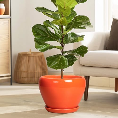 Ceramicfor Ceramic Pot for Plants - 10 Inch Plant Pot with Drainage Hole and Saucer, Modern Round Glaze Planter for Indoor Outdoor Plants, Plant Lover Gifts, Home Garden Office Decor, Orange - Image 2