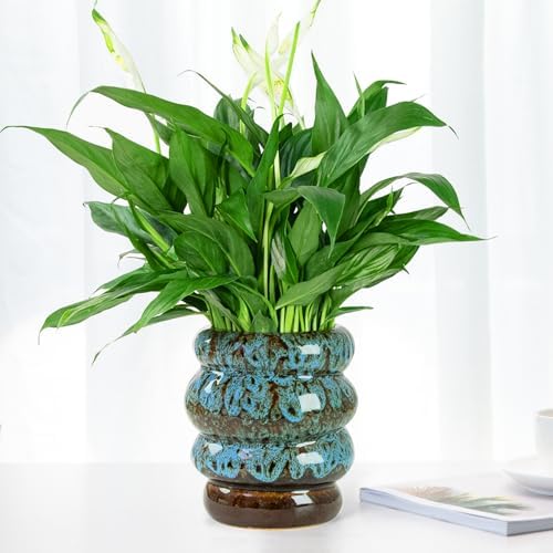 5 inch Ceramic Plant Pot - Flower Pot for Indoor Plants with Drainage Hole - Image 2