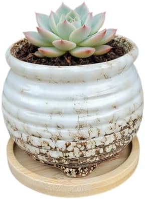 3.5 Inch Ceramic Succulent Planter Pot with Drainage Hole & Bamboo Tray - Mini Round Small Plant Pot for Indoor Desktop, Cactus Flower Container (Plant and Soil Not Included)，White by SJBAG