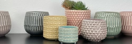 Nordring Stoneware Flower Pot – 6’’ Mauve Planter with Polka Dots – Modern Ceramic Pot with Crackle Glaze – No Drainage Holes – Holds 5’’ Indoor Plant - Image 6