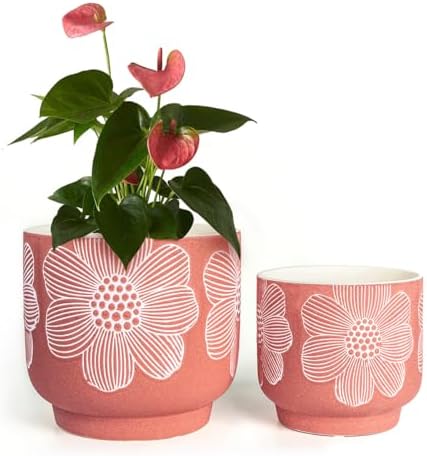 Ceramic Plant Pots, 8+6 Inch, 2 Pcs Indoor Planters with Drainage Holes by YBXYIBOXUAN
