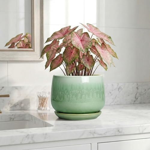 Ceramic Pots for Plants - 7 Inch Planters for Indoor Plants, Round Ceramic Plant Pot with Drainage Hole and Saucer, Decorative Planters, Rustic Home Decor, Plant Gifts for Women, Green - Image 6