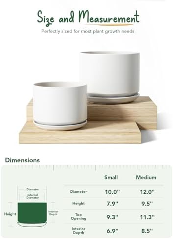 LE TAUCI Ceramic Pots for Plants, Set of 2, 10 + 12 Inch Plant Pot with Drainage Hole and Saucer, Durable & Stylish Planters for Indoor Plants, Elevate Your Home’s Aesthetic, White - Image 4