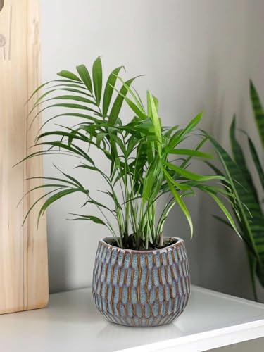 Oairse Small Ceramic Pots for Plants, 4.9 inch Blue Plant Pot Indoor with Drainage Ceramic Planters for Indoor Plants Succulent Planters Decorative Flower Pots for Cactus, Snake Plant, Herb - Image 5
