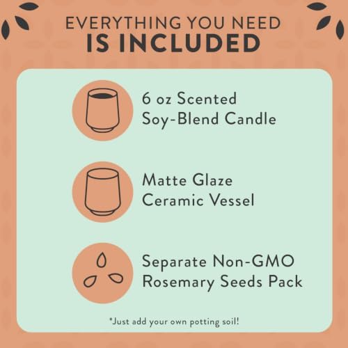 Modern Sprout Soy Candle Planter - Grows Rosemary - Cucumber Scent - 2-Pack - Image 3