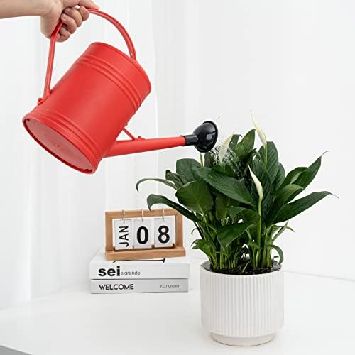 Plastic Indoor Watering Can with Sprinkler Head - 68 oz, 1/2 Gallon - Image 4