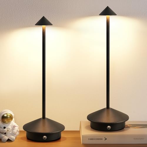 Modern Cordless Table Lamp Set of 2, Black Portable LED Desk Lamps by NEWSEE