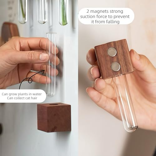 3PCS Mini Plant Propagation Station Set - for Window, Fridge, Wall, Office, Kitchen Decor, Home Plant Display,Inculd Glass Test Tube Vases Magnet and Adhesive Backed Wooden Holders - Image 2