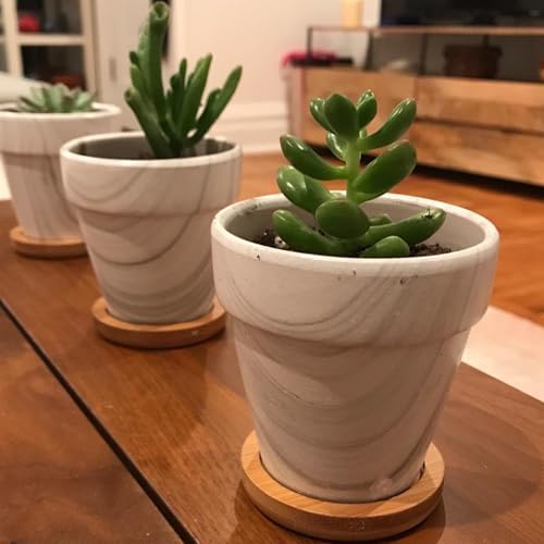 HOIGON 30 Pack Round Bamboo Coasters, 4 Inch Natural Wooden Coasters, Round Bamboo Tray Saucer Set for Drinks, Crafts, Succulents - Image 7
