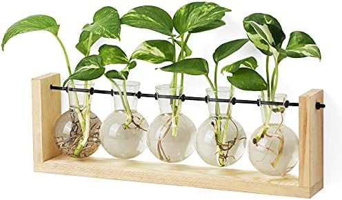Mkono Plant Propagation Station Wall Desktop Beige Wood Stand 5 Vase Holder by Mkono