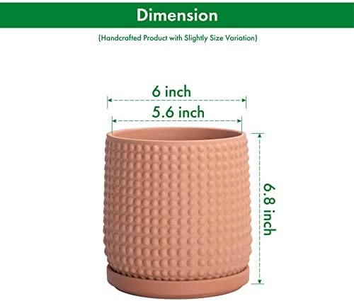 D'vine Dev Beaded Terracotta Pot with Saucer, 6 in, Terra Cotta, 27-C-X-7 - Image 3