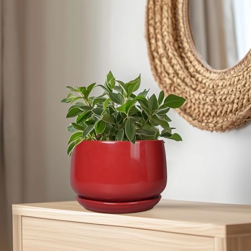 G EPGardening Ceramic Plant Pots - 9 Inch Flower pots for Indoor Outdoor Plant, Round Planter with Drainage and Saucer, Modern Home Decor, Gift for Women Men, Red - Image 5