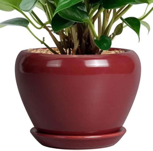Ceramicfor Ceramic Pot for Plants - 6 Inch Plant Pot Indoor with Drainage Hole and Saucer Succulent Outdoor Planter Round Flower Pot for House Patio Decor Red by Ceramicfor