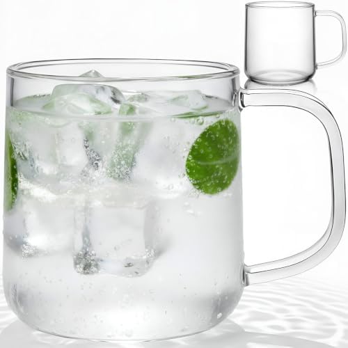 Aquach 20oz Glass Cups with Handle Set of 2, Clear Borosilicate Latte Mugs by Aquach