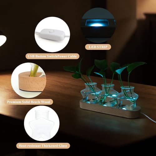 XXXFLOWER Plant Propagation Station with LED Light Wooden Base 3 Star Vases - Image 3