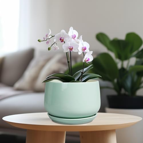G EPGardening Ceramic Plant Pots, 7 Inch Planter, Mint Green - Image 2