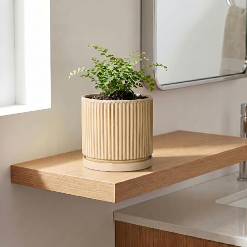 Ceramic Planter, 6 Inch Plant Pot, Pots for Plants with Tray, Beige - Image 3