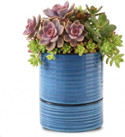HASENSE Ceramic Self Watering Pots for Indoor Plant, 6 Inch Planter with Drainage Hole & Water Storage Saucer for Indoor & Outdoor Plants, Reactive Glaze Blue by Hasense