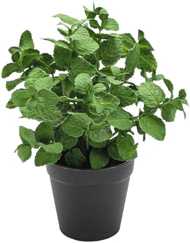 Coferset Small Fake Plants Mint Artificial Potted Plants,Green by Coferset