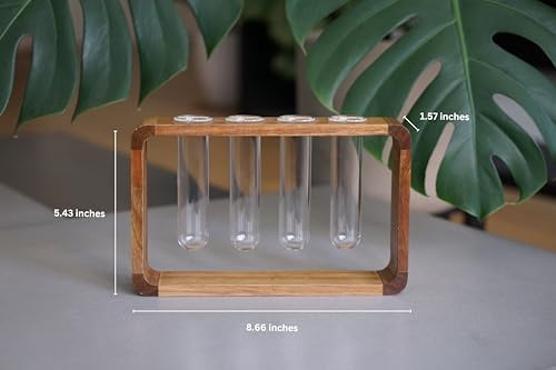 Source & Plot Plant Propagation Station - Acacia Wood Stand with 4 Glass Test Tubes, Tabletop Hydroponic Terrarium Planter Rack for Rooting & Houseplant Decor, Gift for Plant Lovers - Image 6