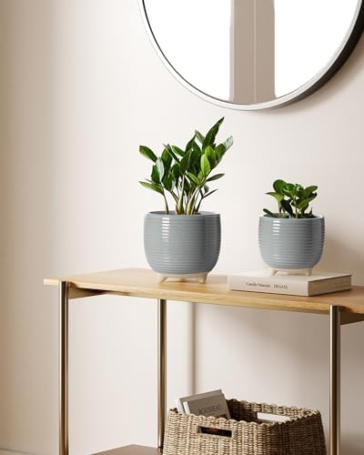 LE TAUCI Ceramic Plant Pots, 5.1 + 6.4 Inch Footed Pots for Plants, Modern Flower Pots for Home and Office, Indoor Planters with Drainage, Reactive Glaze Gray - Image 3