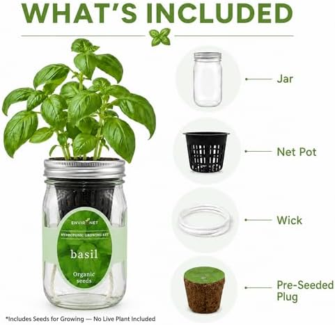 Hydroponic Growing Kit, Self-Watering Mason Jar Herb Garden Starter Kit Indoor, Windowsill Herb Garden, Grow Your Own Herbs from Organic Seeds (Basil) - Image 3