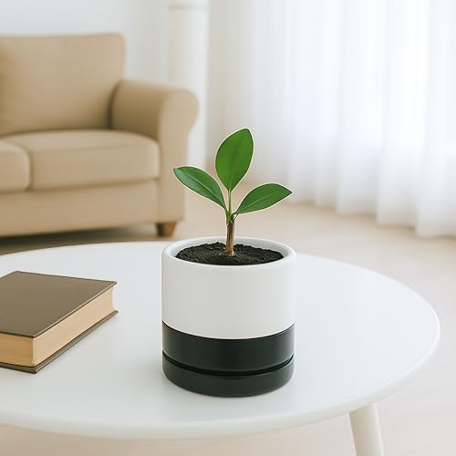 D'vine Dev 4.7 Inch Ceramic Planter Pot, Black White Two Tone, 94-O-B-L - Image 6