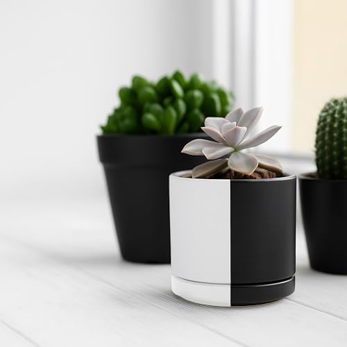 D'vine Dev 3.5 Inch Ceramic Planter Pot, Black White Split, 94-O-A-0 - Image 2