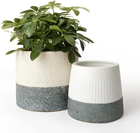 LA JOLIE MUSE Ceramic Plant Pots, Flower Pots for Indoor Plants, Set of 2 by LaJol%C3%ADeMuse