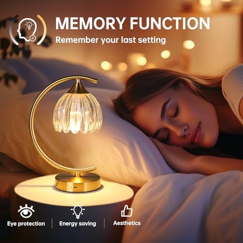 Shenmoyl Tulip Table Lamp, 5200mAh Cordless Touch Control Table Lamp with 3 Color Temps & Stepless Dimming, Rechargeable Battery Table Lamp for Living Room, Bedroom, Office, Shelf (Transparent Tulip) - Image 6