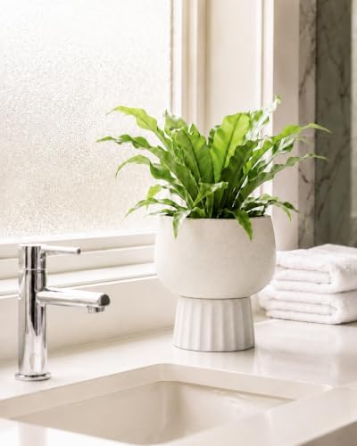 Self Watering Pots for Indoor Plants, 6 Inch Ceramic African Violet Pot - Image 5