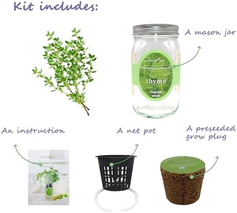 Hydroponic Herb Growing Kit, Self-Watering Mason Jar Herb Garden Starter Kit Indoor, Window Herbs Garden, Grow Your Own Herbs from Organic Seeds (Thyme) - Image 3