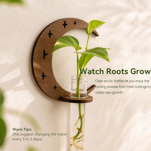 Artilady Plant Propagation Station, Moon Wall Hanging Wood Terrariums Tube - Image 2