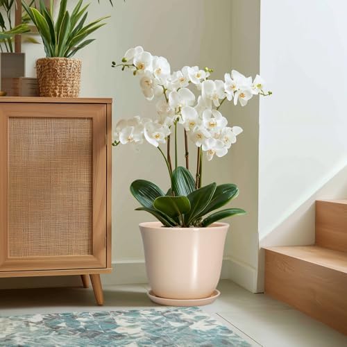 Ceramic Plant Pots, 12 Inch Plant Pot with Drainage, Beige - Image 5