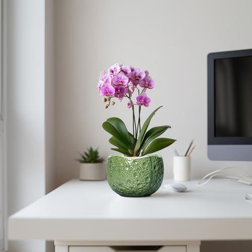 6 Inch Plant Pot - Orchid Pot with Drainage Hole, Ceramic Planter for Indoor Outdoor, Decorative Plant Pots, Modern Round Unique Flower Pots, Living Room Decor, Gifts for Women Men, Green - Image 5