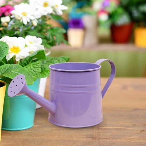 Small Watering Can, 1L Metal Flower Garden Watering Can, Gardening Tool Accessories for Outdoor Indoor Plants Lawn (Purple) - Image 4