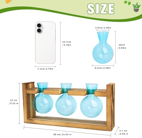 XXXFLOWER Plant Terrarium Jar Propagation Station Stand 3 Blue Bulb Vases - Image 2