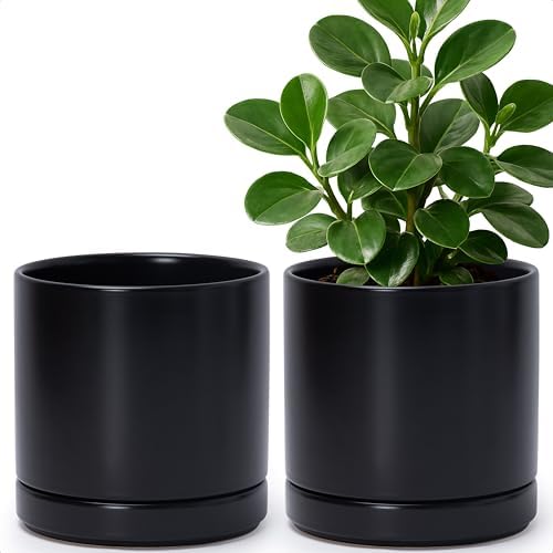 D'vine Dev 2-Pack Ceramic Pots with Saucers, Black, 6.5 in, 94-V-C-2 by DvineDevPlanterPotsandStand