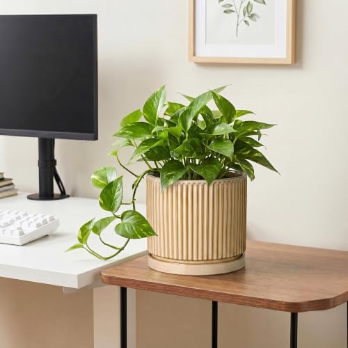 8 Inch Flower Pot, Ceramic Planters, Round Plant Pot, Beige - Image 5