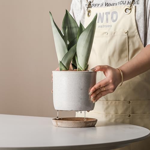 5.8 Inch Plant Pot: Ceramic Planter with Drainage Hole & Saucer - Cylinder Round Flowerpot for Indoor & Outdoor Plants - with Separate Tray for Home & Office - Retro Style, Grey - Image 5