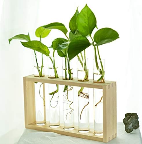 Wooden Propagation Station with 5 Glass Test Tubes, Tabletop Glass Terrarium Holder for Plant Cuttings Hydroponics, Home Office Desk Decor Gift for Women Mom Plant Lovers, Beige - Image 5