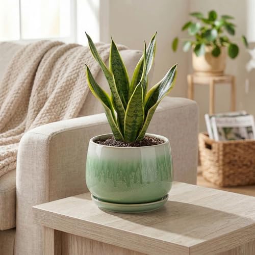 6 Inch Planter, Ceramic Plant Pots for Indoor Plants, Green - Image 5