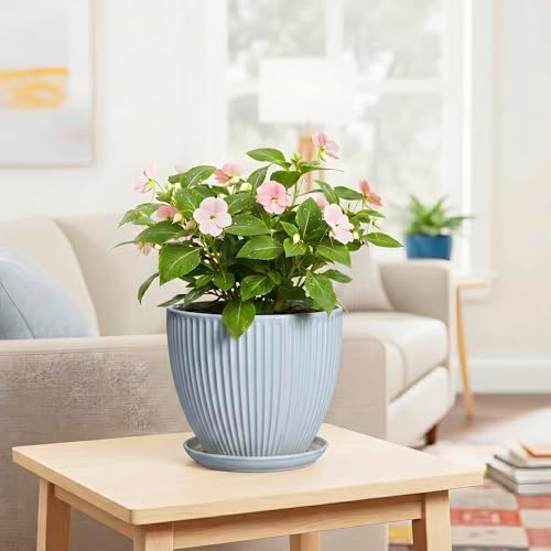 8 Inch Plant Pot Indoor, Ceramic Flower Pots with Drainage Hole and Saucer, Round Plant Pot for Indoor House Plants, Modern Plant Pot Indoor, Office Home Decor, House Warming Gifts, Light Blue - Image 6