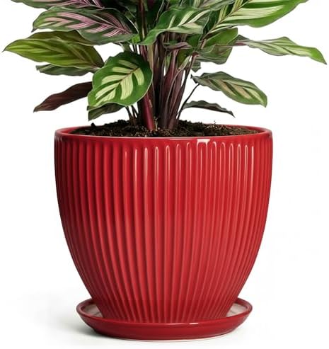 Ceramic Planter, 6 Inch Plant Pot Indoor with Drainage Hole and Saucer, Small Pots for Plants, Modern Succulent Flower Pot, Round Planter, House Garden Decor, Plant Gifts for Women Men, Red by Unknown