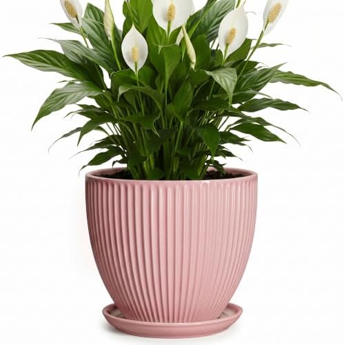 8 Inch Plant Pots Indoor, Ceramic Plant Pot for Snake Plants Flowers, Round Planters with Drainage Hole and Saucer, Decorative Modern Flower Pot, Kitchen Decor, Gifts for Plant Lovers, Pink by Unknown