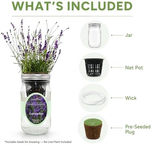 Hydroponic Herb Growing Kit, Self-Watering Mason Jar Herb Garden Starter Kit Indoor, Windowsill Herbs Garden, Grow Your Own Herbs from Organic Seeds (Lavender) - Image 3
