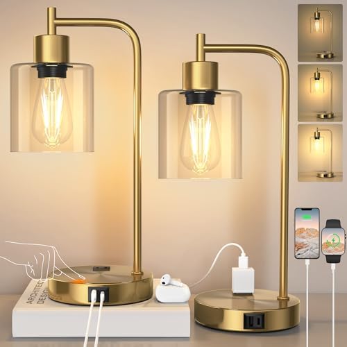 QiMH Set of 2 Industrial Table Lamps, Glass Desk Lamp for Living Room by Qimh