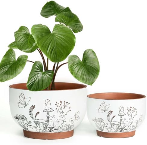 Terracotta Pots, 8+6 Inch Plant Pots, 2 Pcs with Drainage Holes by YBXYIBOXUAN